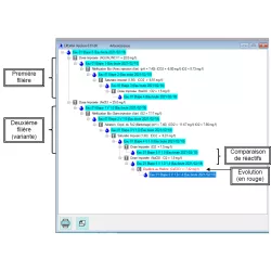 LPLWin V6